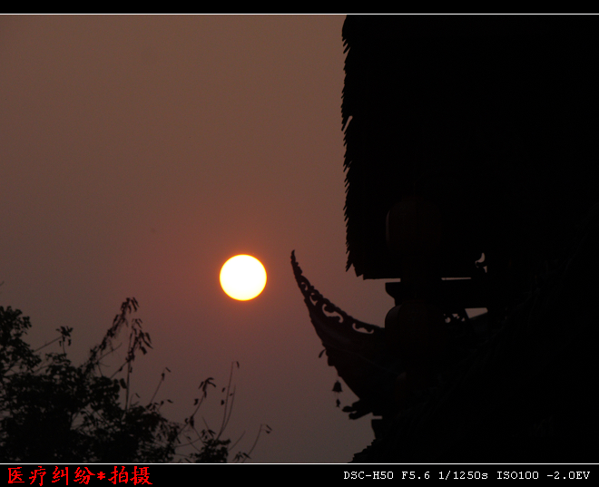 DSC02763.jpg