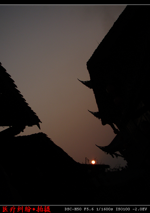 DSC02765.jpg