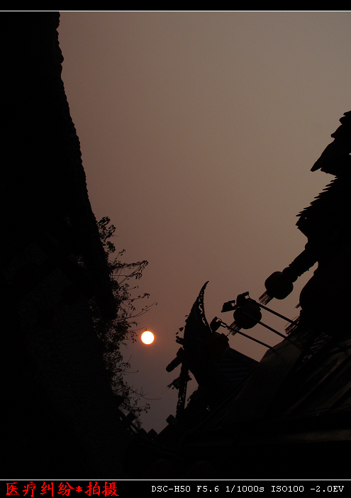 DSC02766.jpg