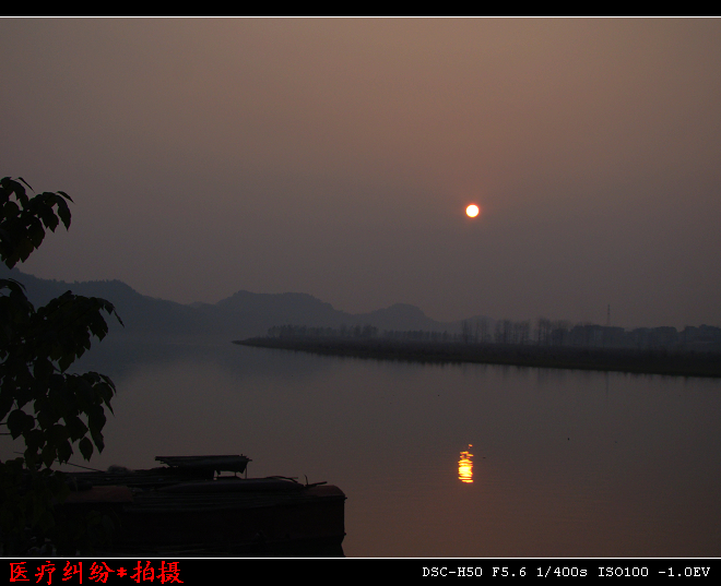 DSC02771.jpg