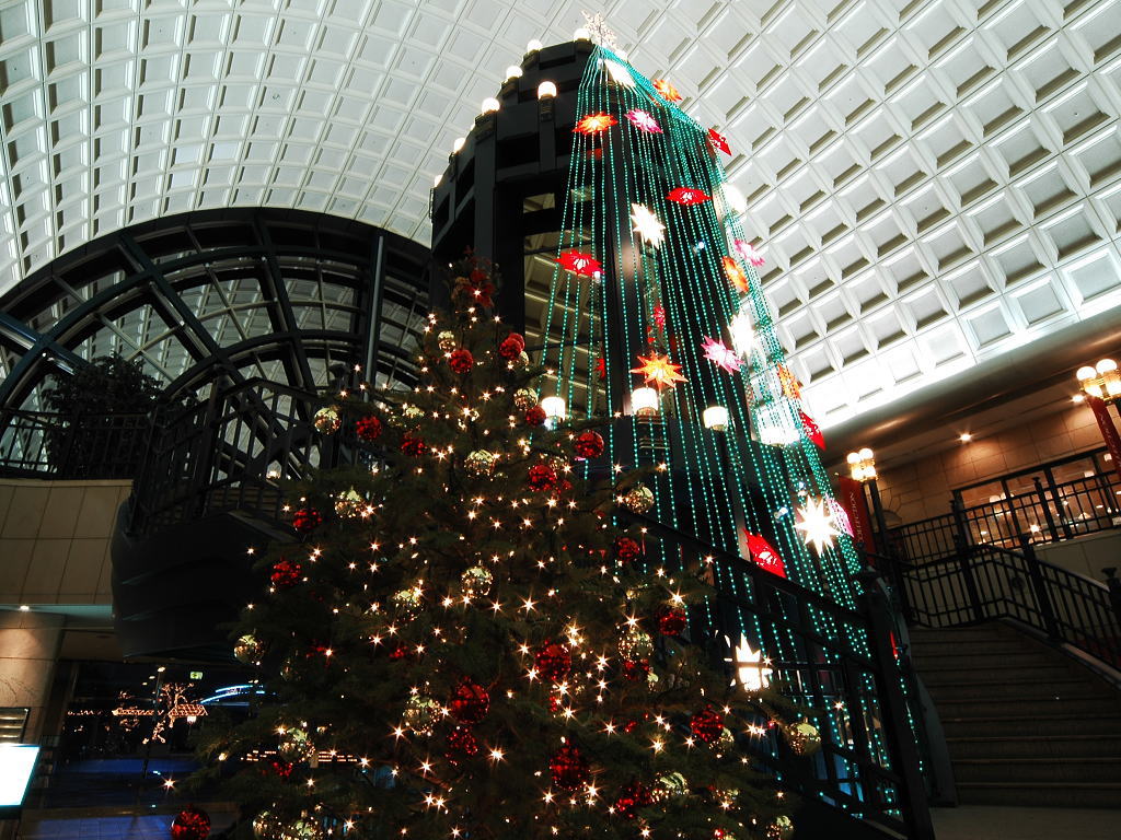 20067131338081208.jpg