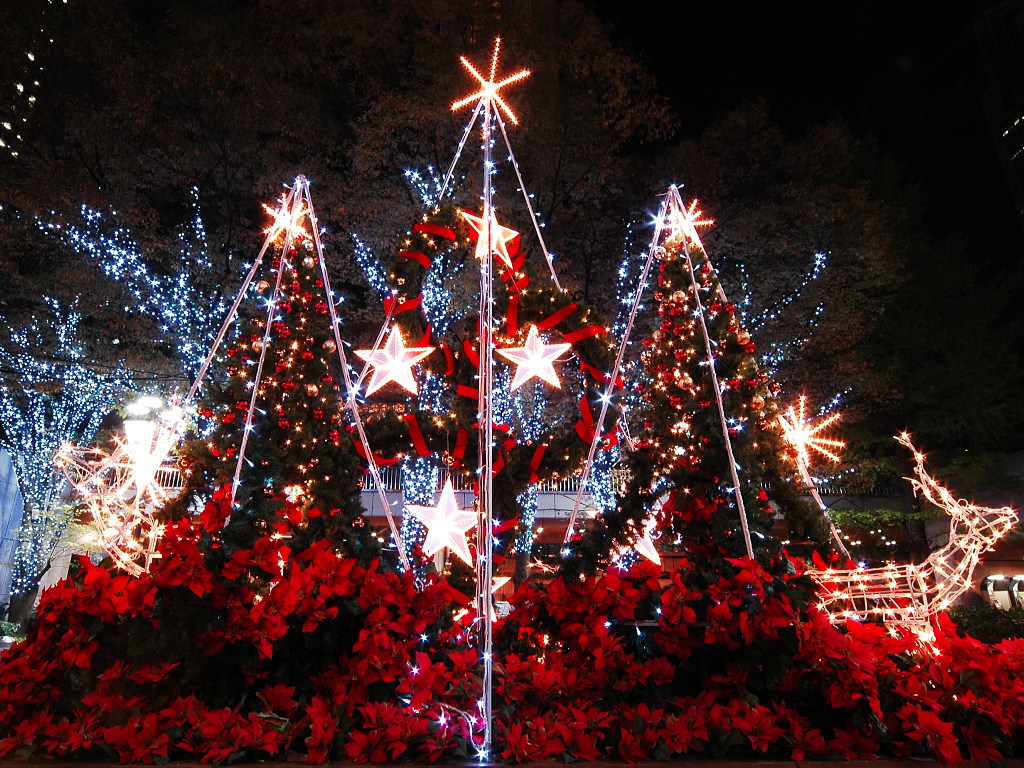 xmastree001.jpg