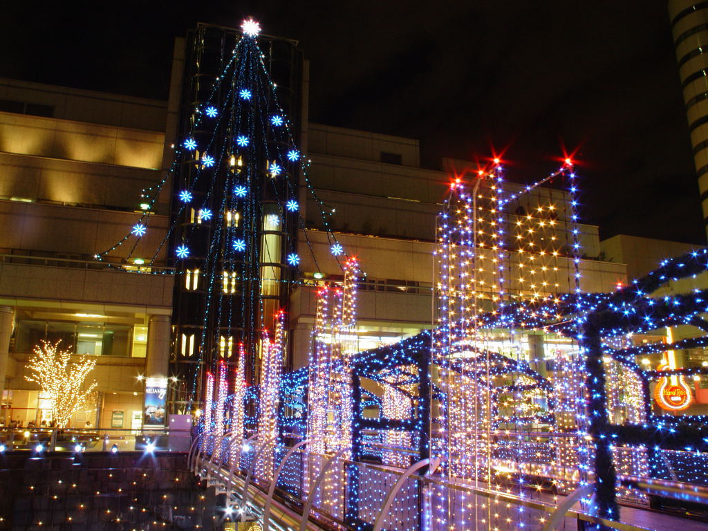 xmastree010.jpg