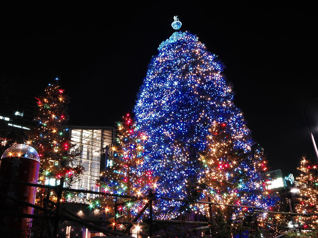 xmastree013.jpg