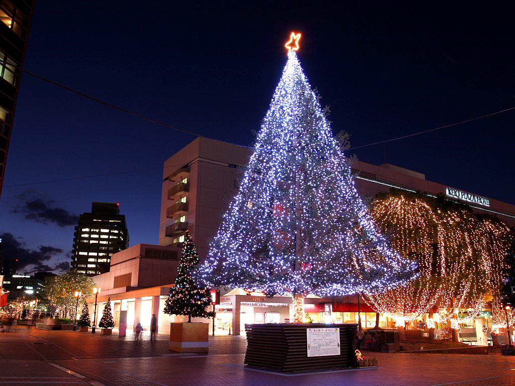 xmastree_3011.jpg