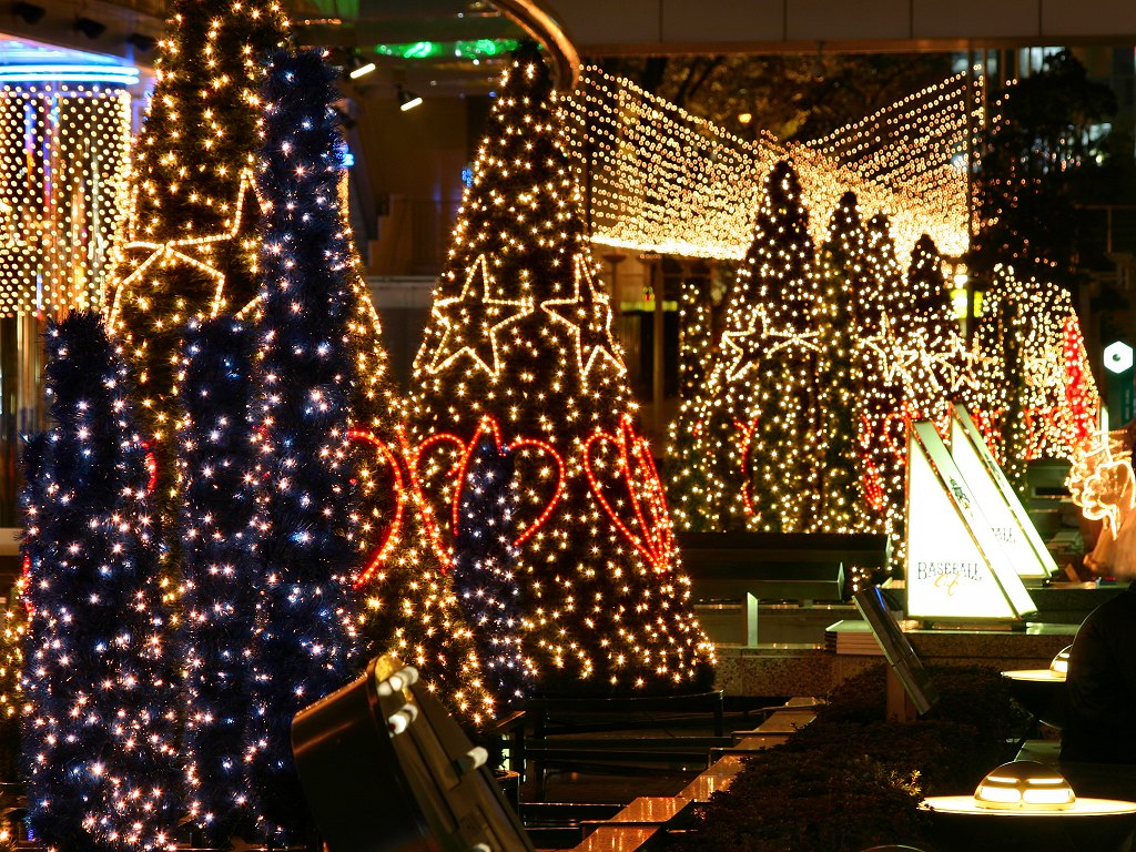 xmastree_6015.jpg