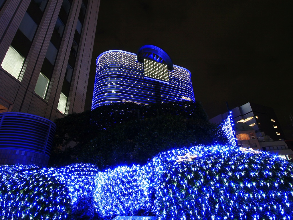 xmastree_7003.jpg