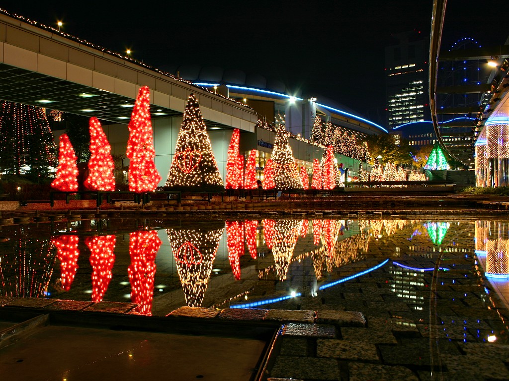 xmastree_8010.jpg