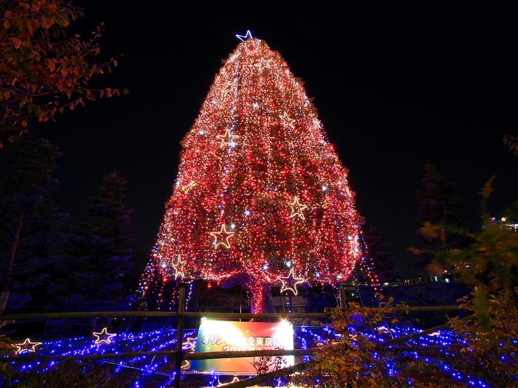 xmastree_9004.jpg