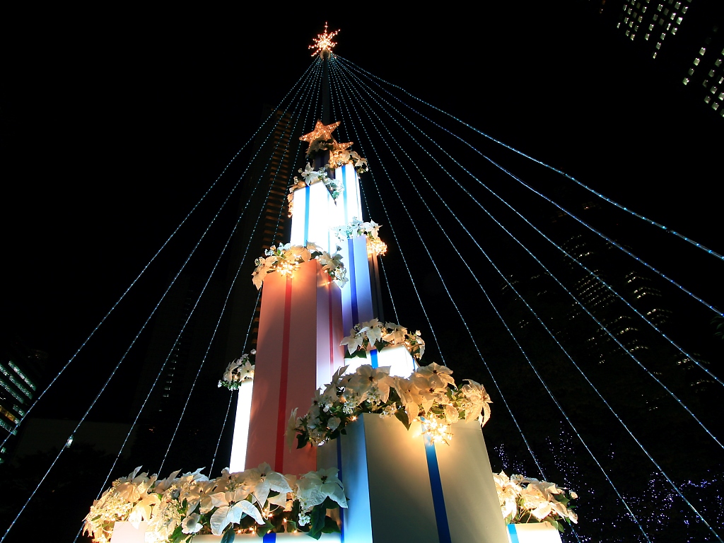 xmastree_10019.jpg