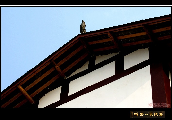 DSC05599.JPG