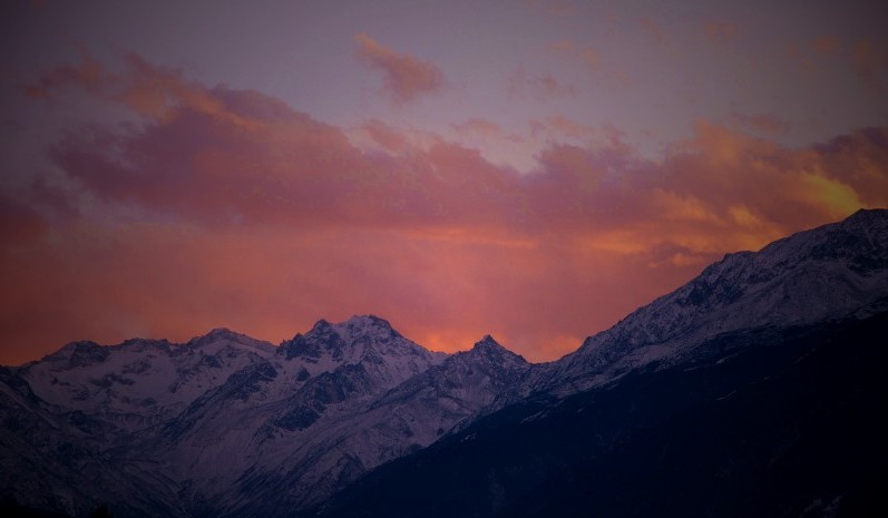 DSC_0661__.jpg