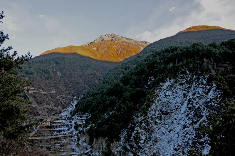 DSC_0604.jpg