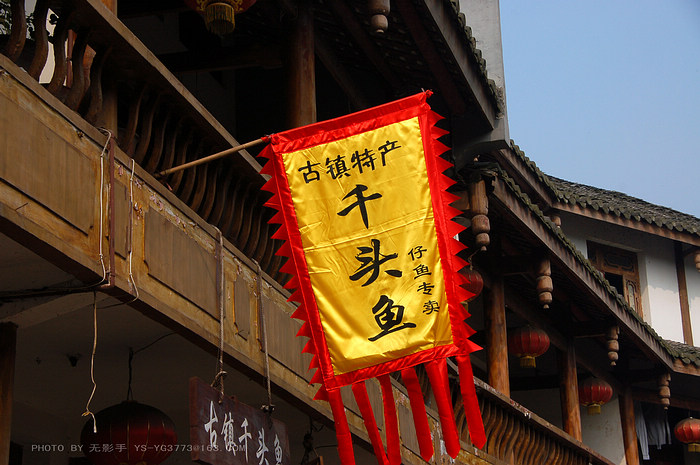 DSC_0338.jpg