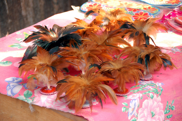 DSC_0546.jpg