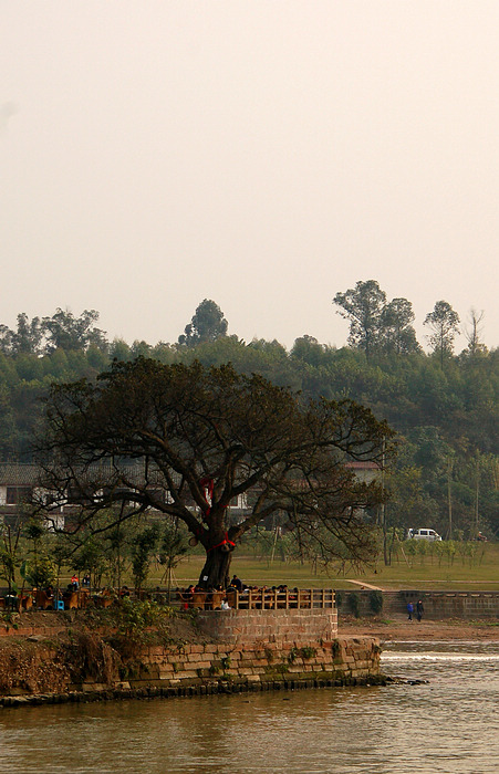 DSC_0580.jpg