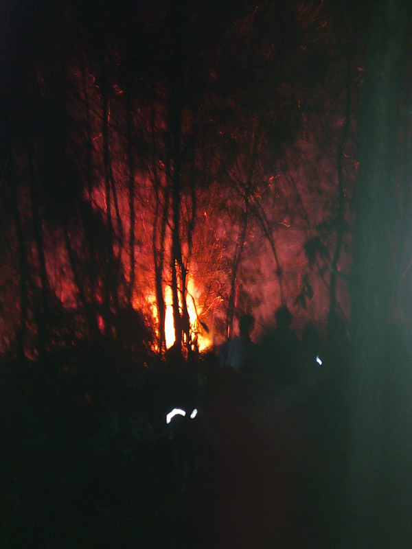 Ǹ6.jpg