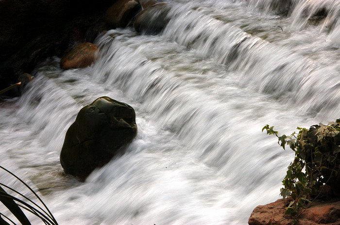 DSC_0695.jpg