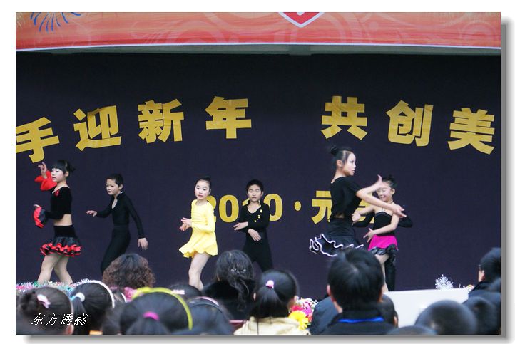 DSC06822.jpg