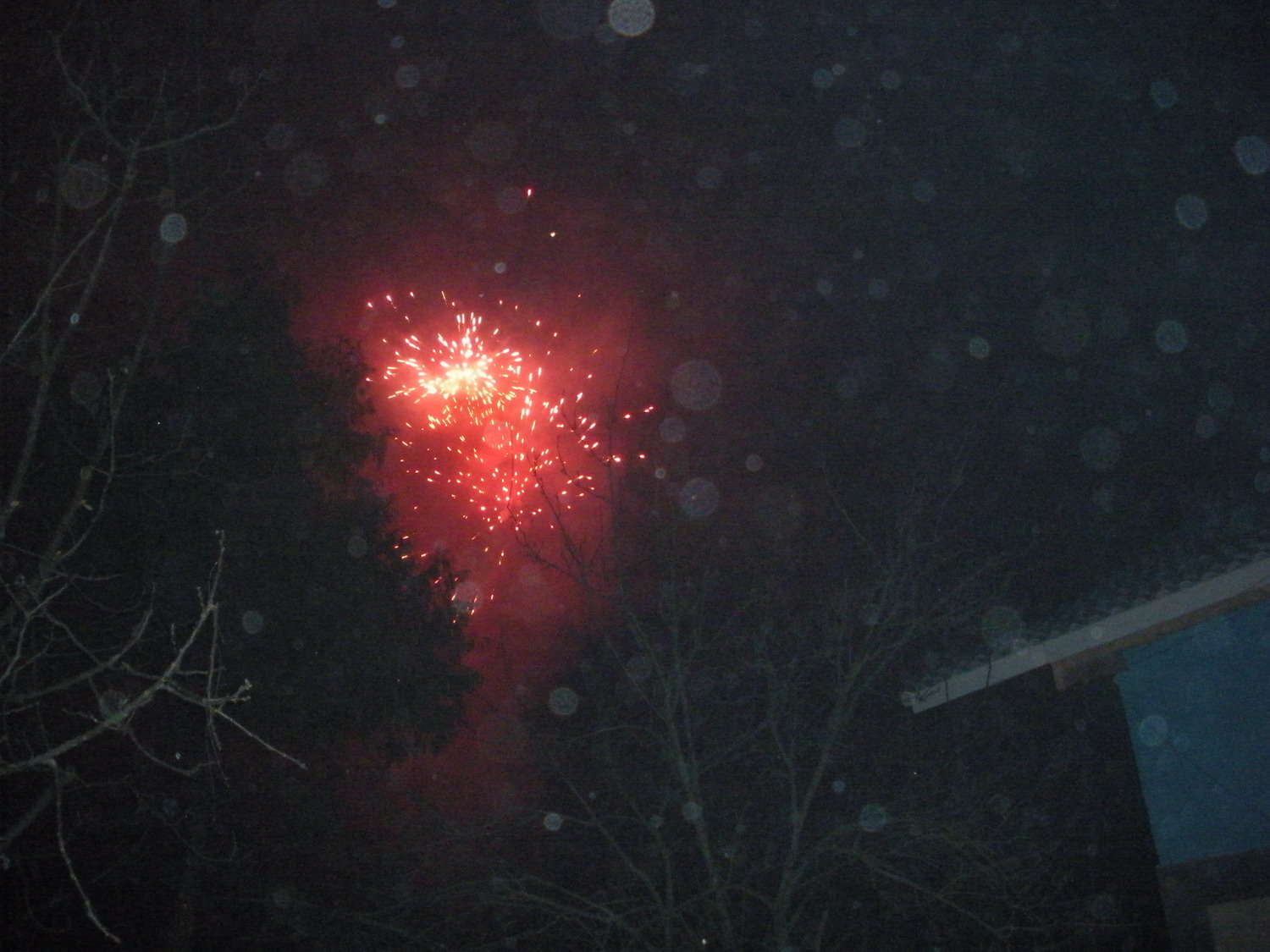 DSCN7396.JPG