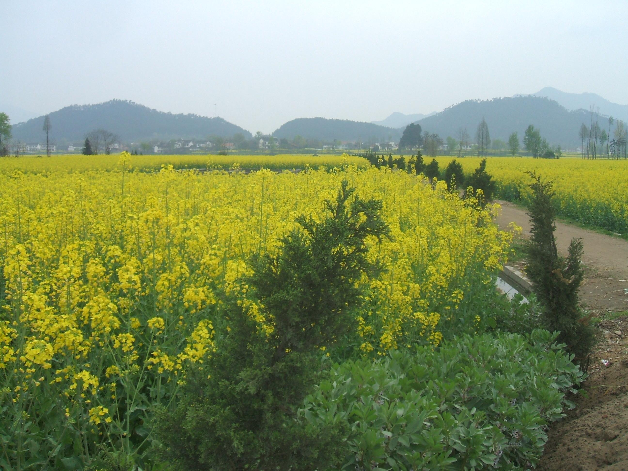 DSCF5778.JPG