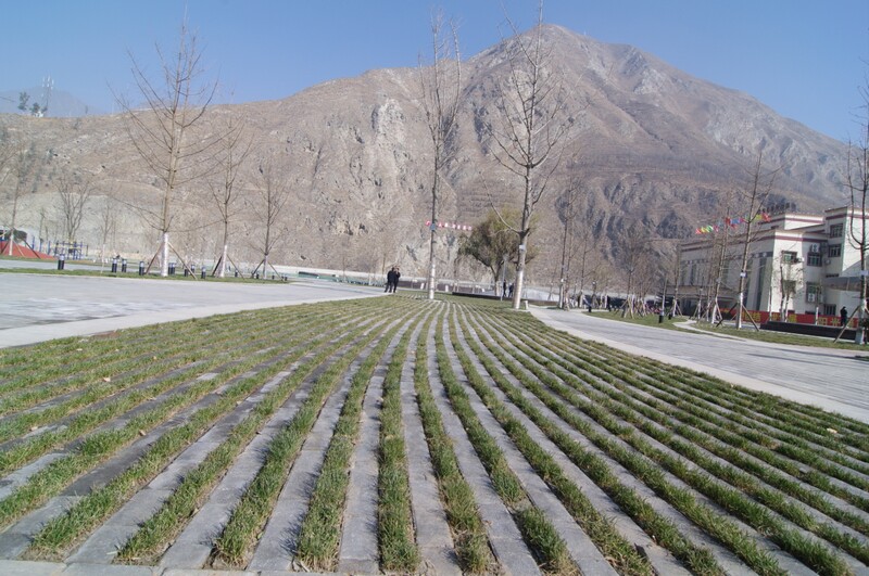 IMGP0143.jpg