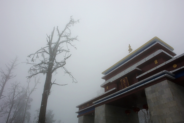 DSC00244.jpg