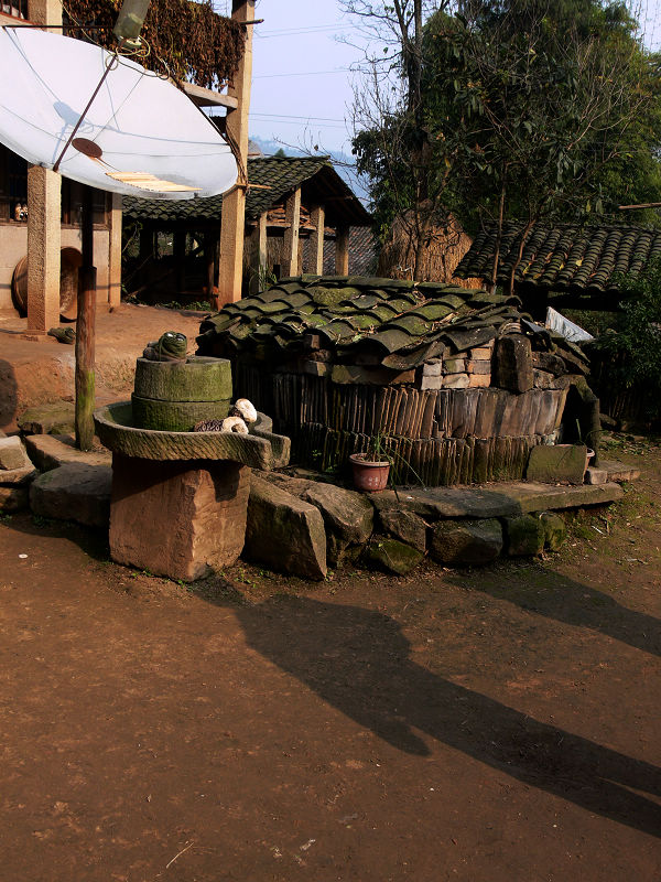 P1330890.jpg
