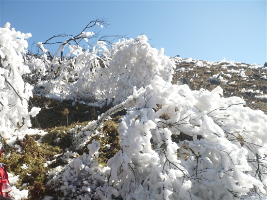 P1040877_.jpg