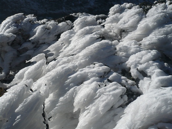 P1050130_.jpg