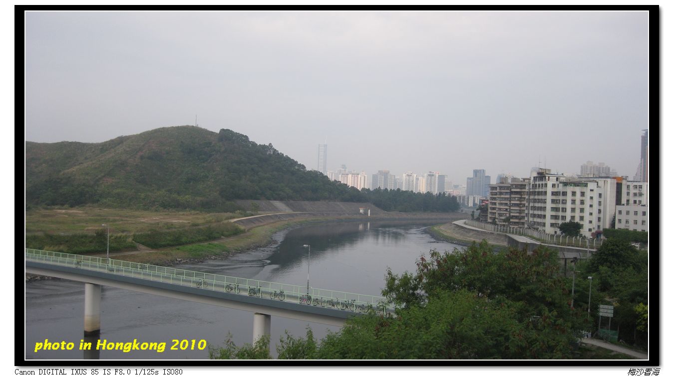 2010.01.05 006.jpg