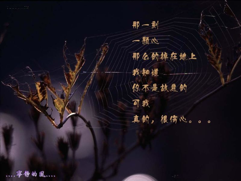 1cb3b037b34d1aa1a71e1215.jpg