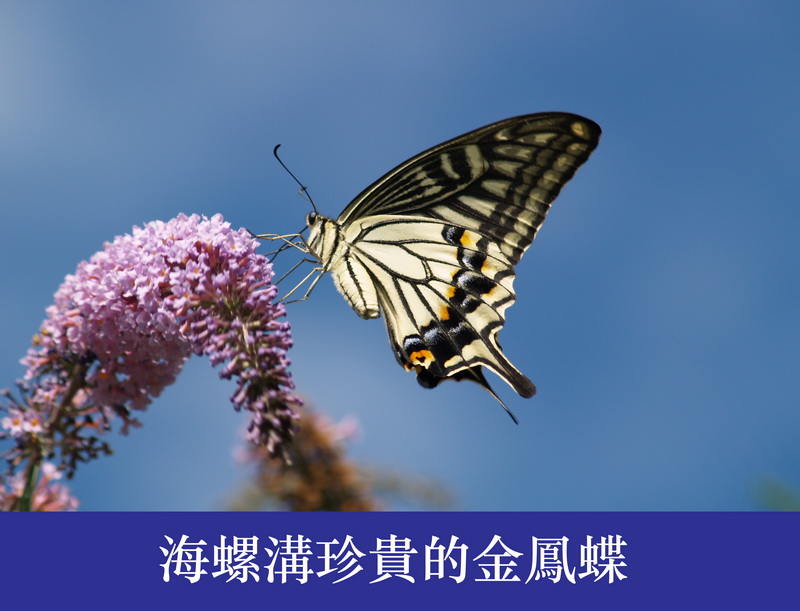 20080827_a8358ba0d001a1346ff1EV054oKOWbwi.jpg