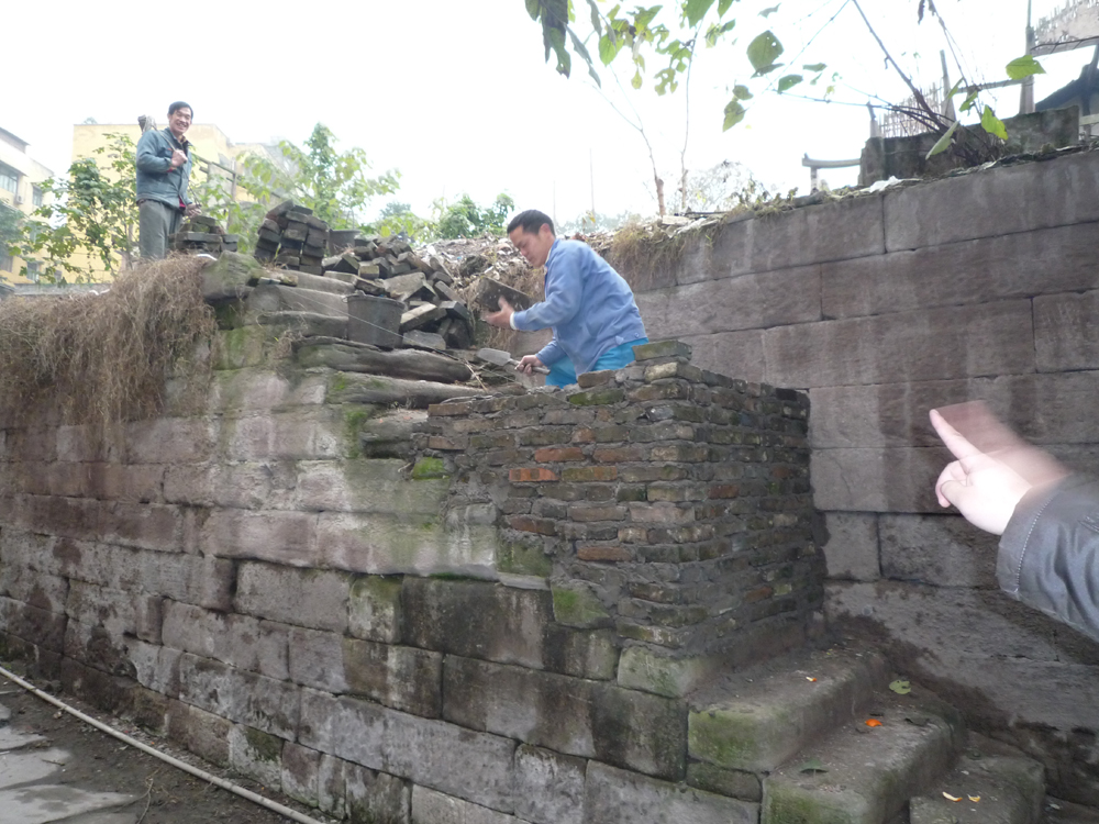 P1000141.jpg