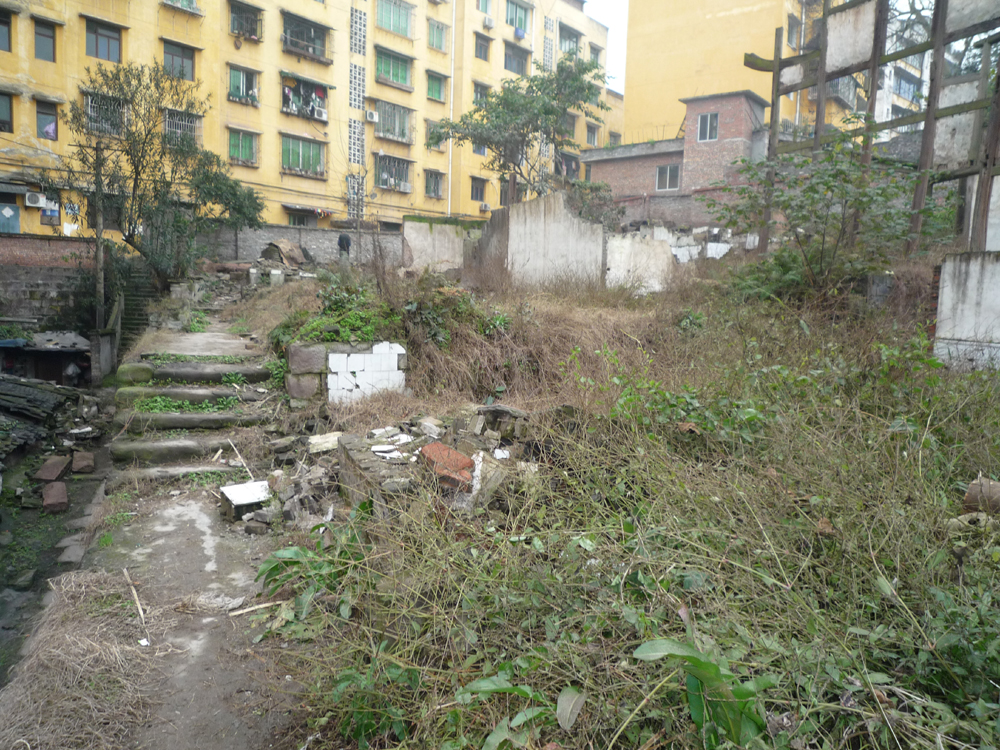 P1000144.jpg
