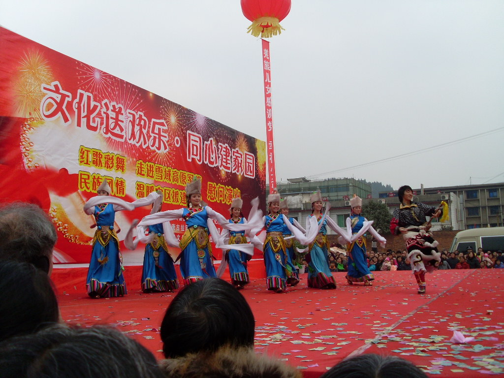 SL372339.JPG