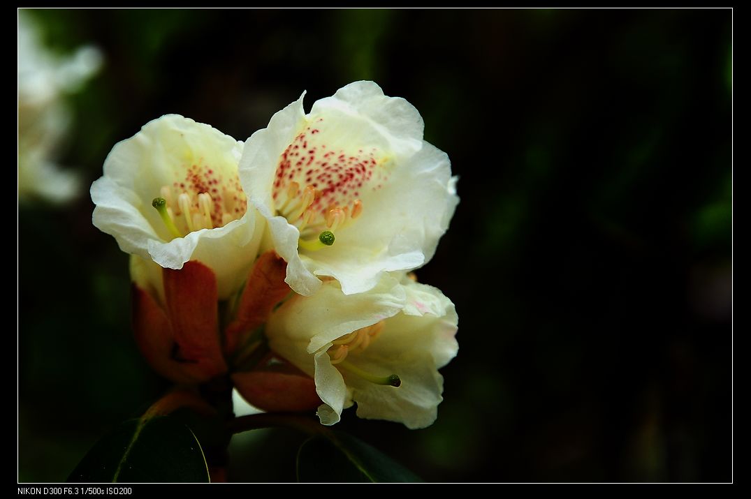 nEO_IMG_DSC_1316.jpg