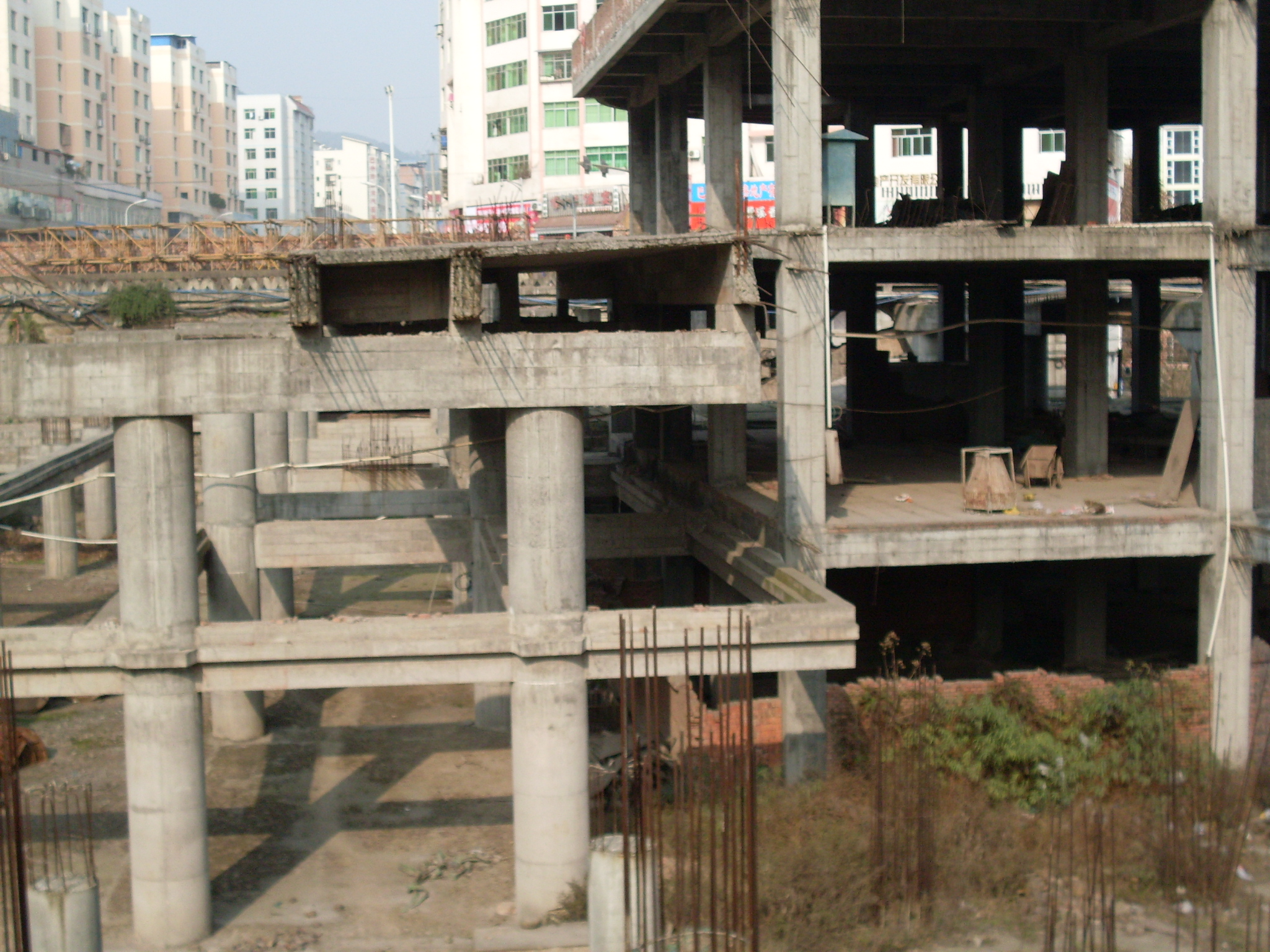 SDC11148.JPG