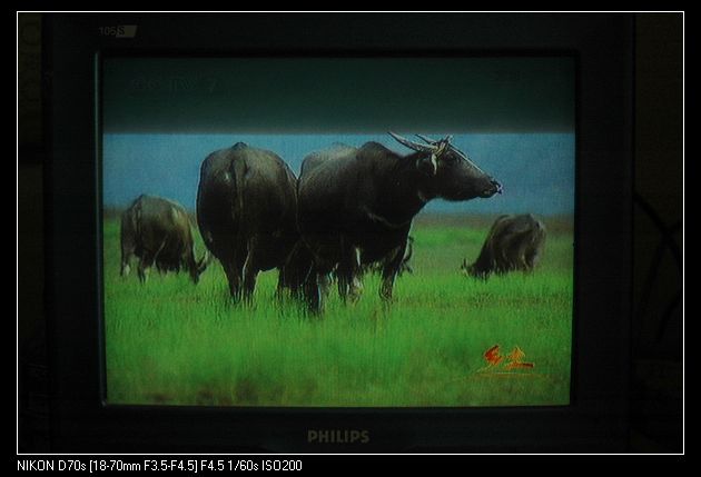 2009113̨7̨Ŀ 023.jpg