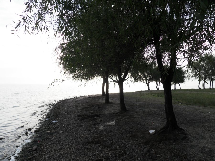 SDC11851.JPG