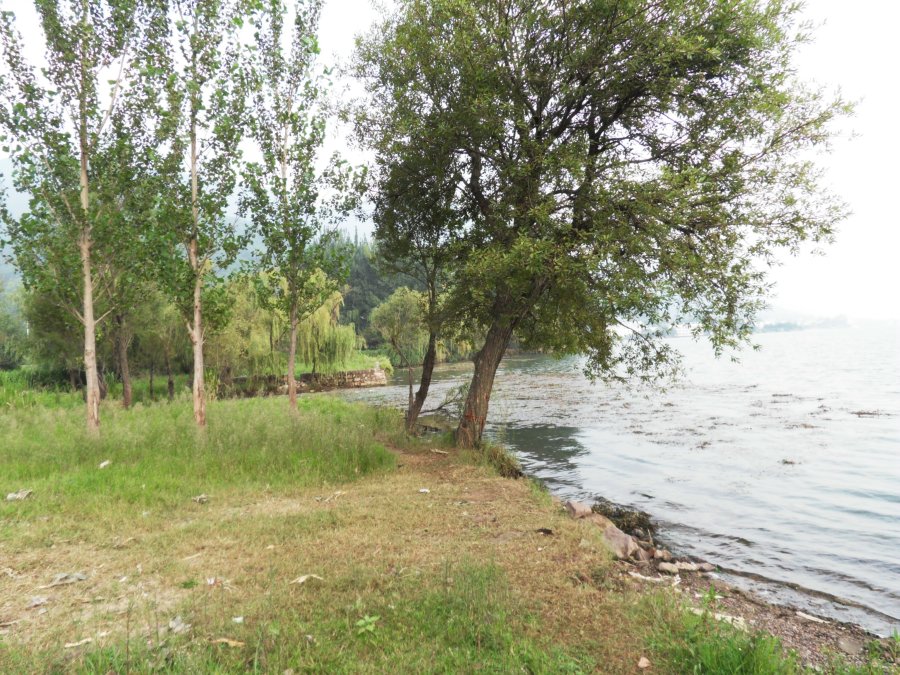 SDC11847.JPG