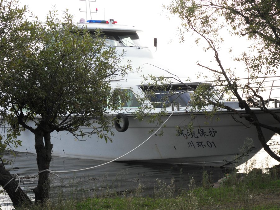 SDC11845.JPG