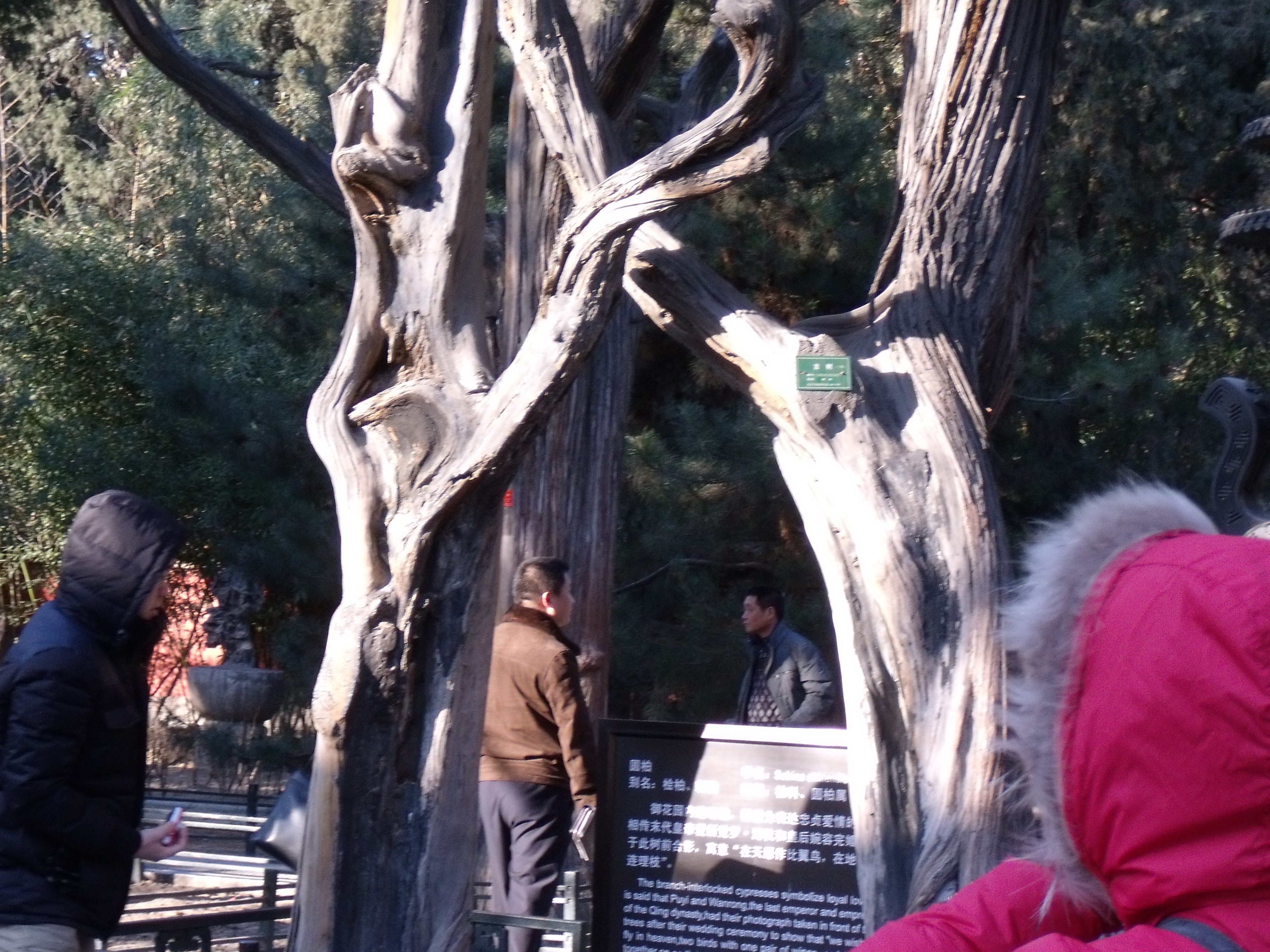 DSCF0725.jpg
