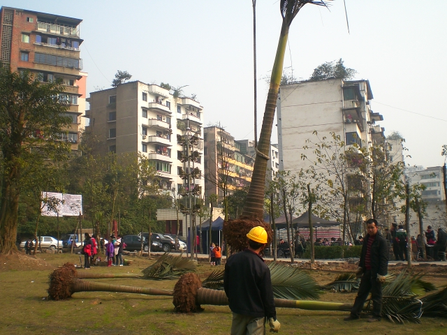 CIMG1520.JPG