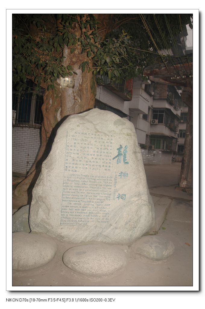 2010116 120.jpg