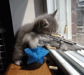 http_imgload.cgi(6).gif