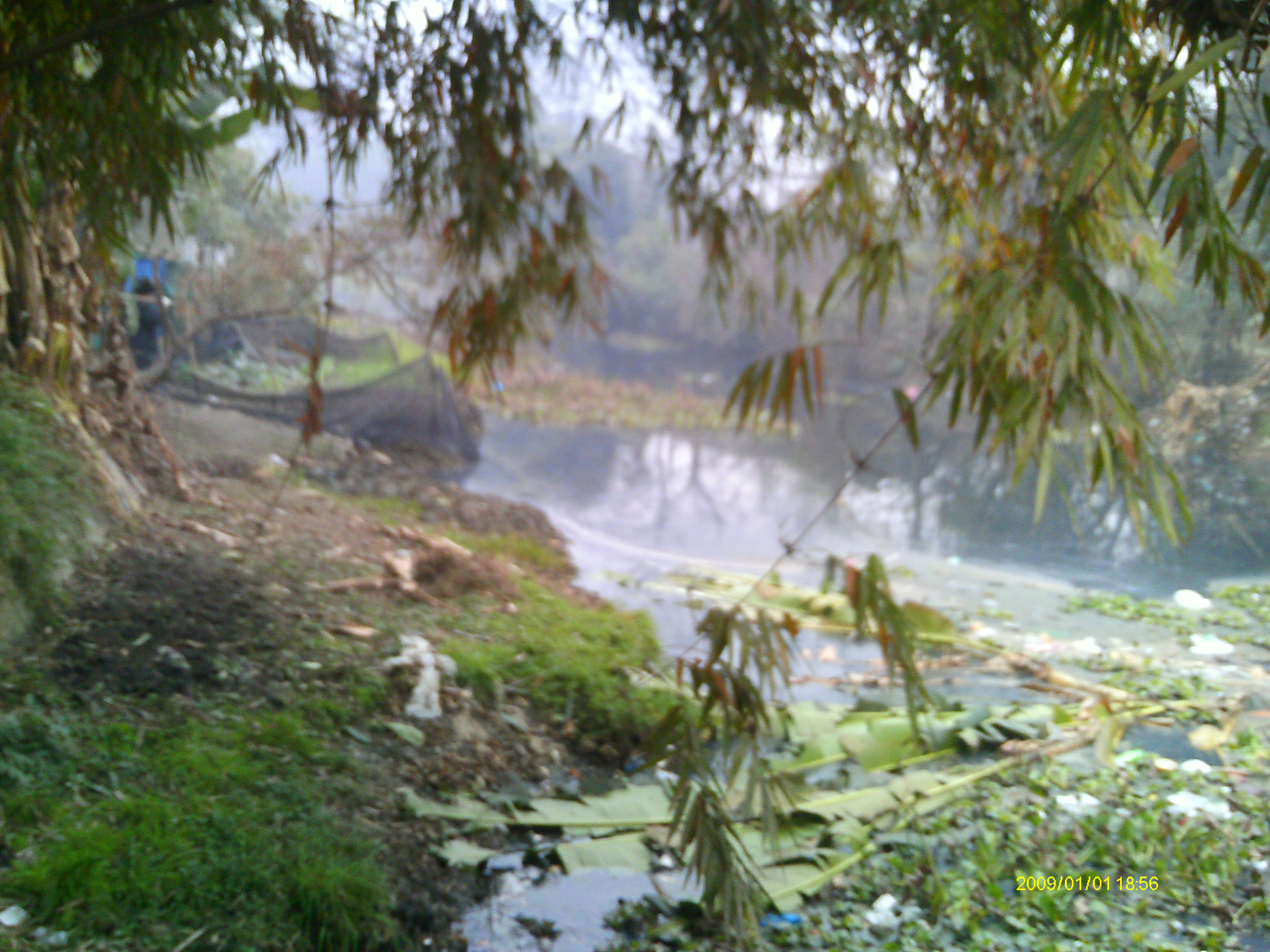 IMAG0025.JPG