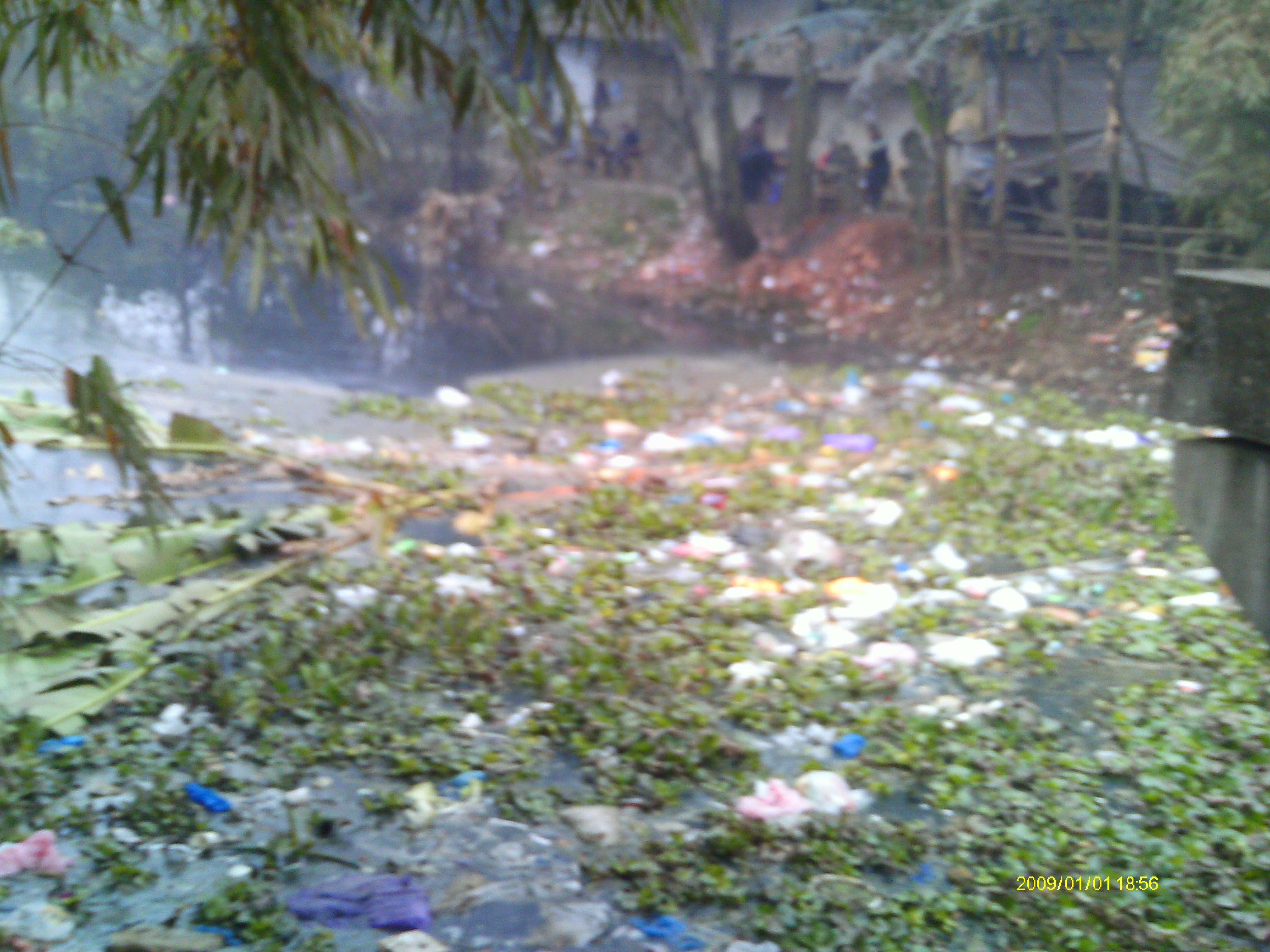 IMAG0024.JPG
