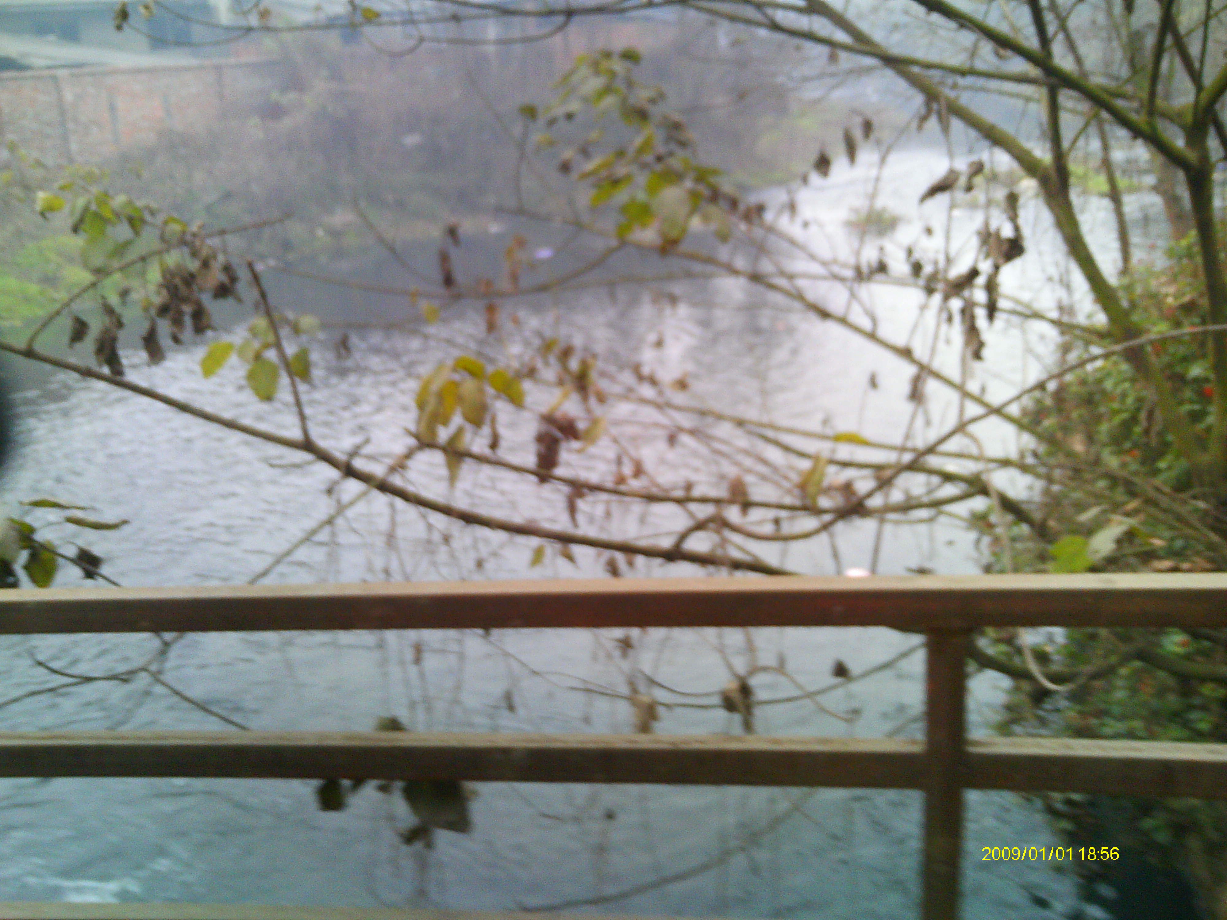 IMAG0026.JPG