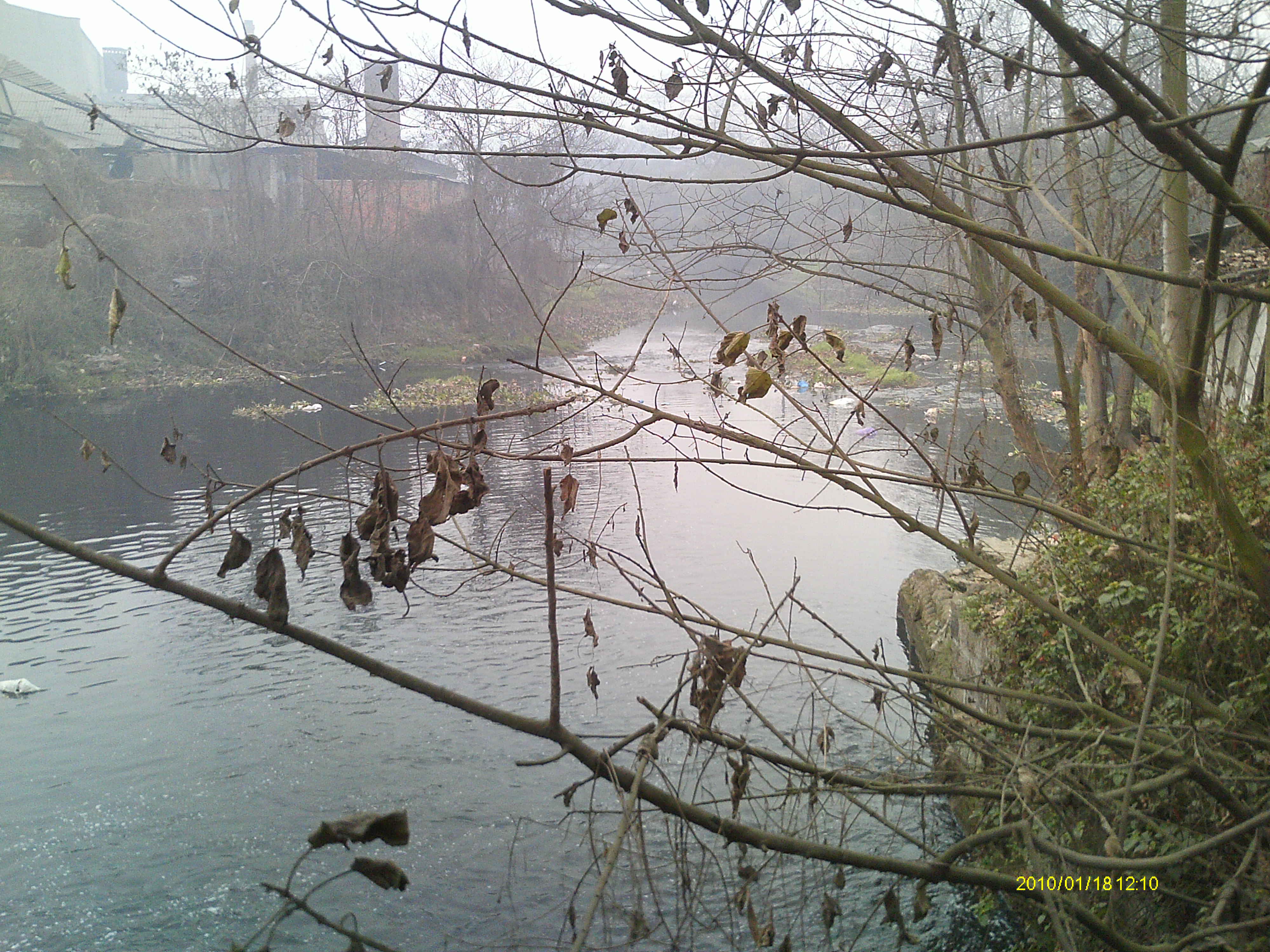 IMAG0188.JPG